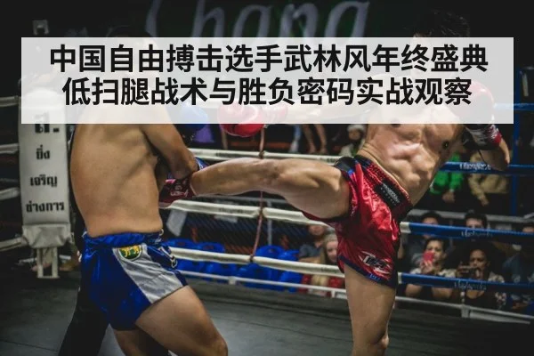 中国自由搏击选手武林风年终盛典低扫腿战术与胜负密码实战观察